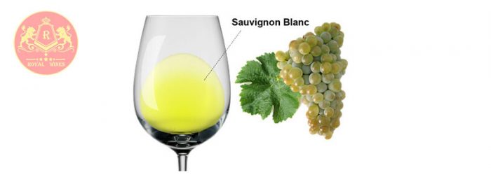 Giống Nho Sauvignon Blanc