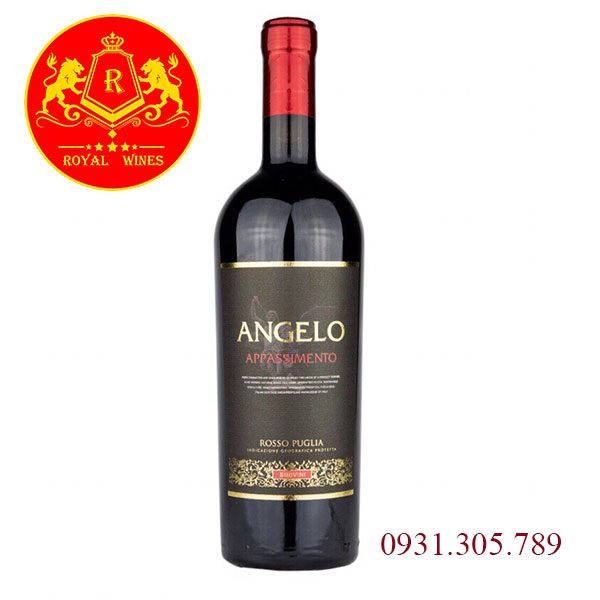 Rượu Vang Angelo Appassimento