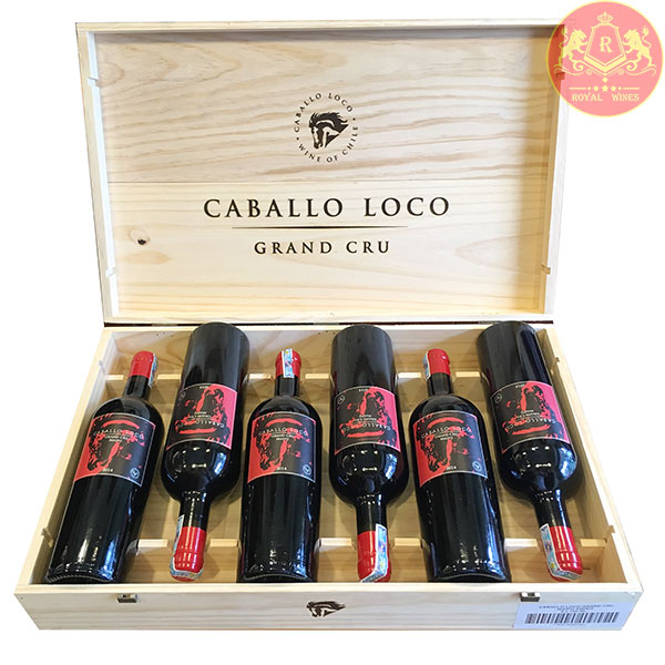 Rượu Vang Caballo Loco Grand Cru Maipo Andes 1