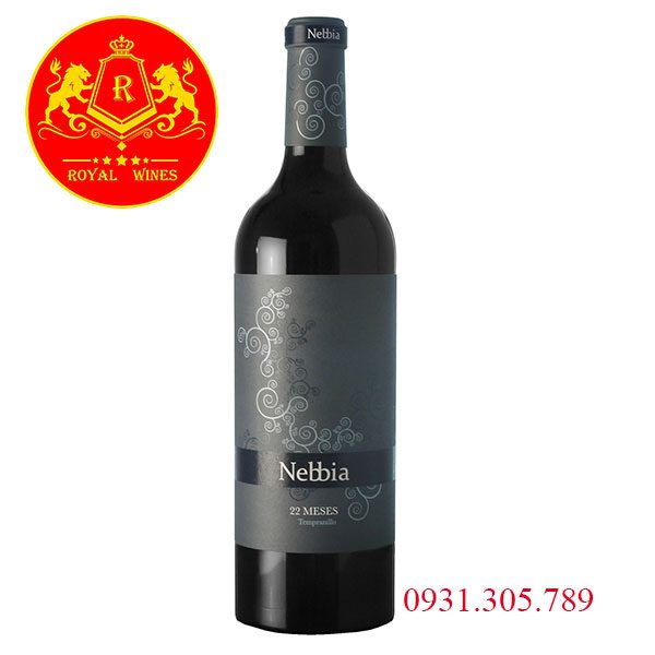 Rượu vang Tây Ban Nha Nebbia 22