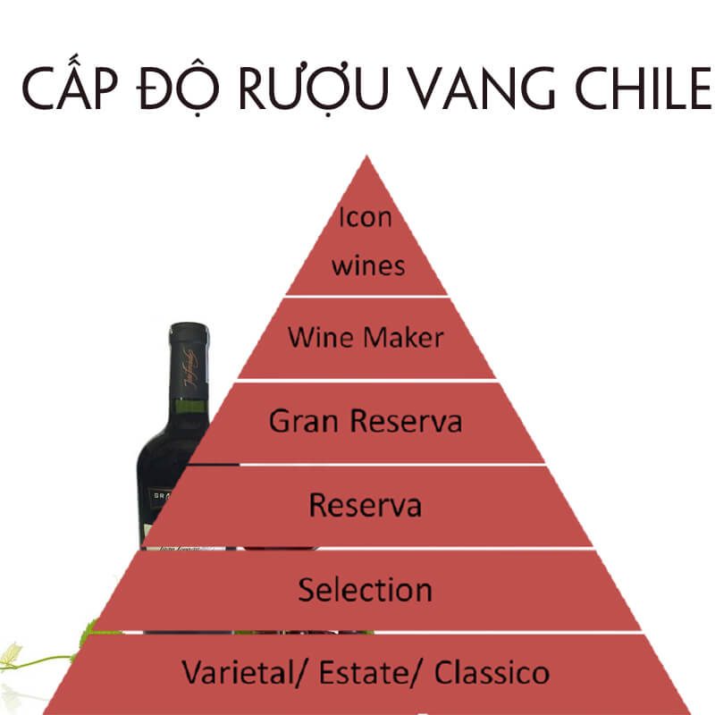Cap Do Ruou Vang Chile