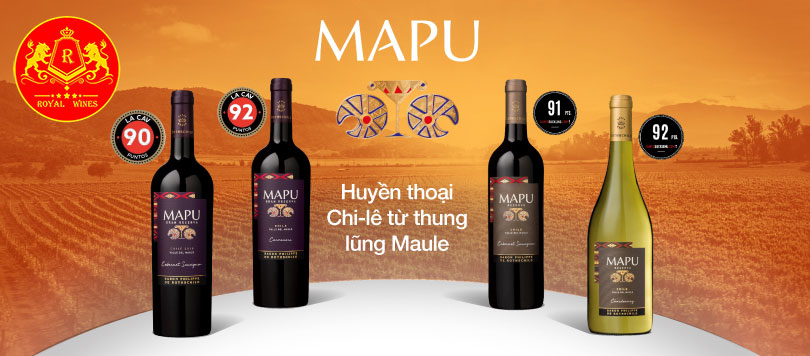 Rượu Vang Mapu Reserva