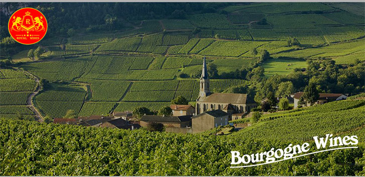Ruou Vang Bourgogne