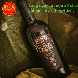 Rượu Vang Pacificus Terre Siciliane Syrah Igt