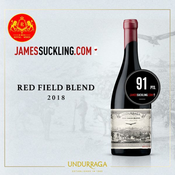 ruou-vang-undurraga-red-field-blend