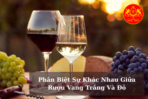 Phan Biet Su Khac Nhau Giua Ruou Vang Trang Va Do 01
