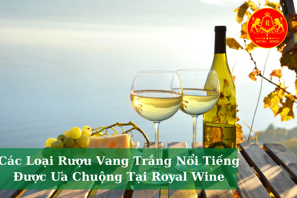 Các Loại Rượu Vang Trắng Nổi Tiếng Được Ưa Chuộng Tại Royal Wine