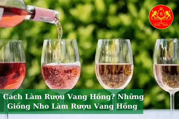 Cách Làm Rượu Vang Hồng? Những Giống Nho Làm Rượu Vang Hồng