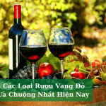 Top 5 Cac Loai Ruou Vang Do Duoc Ua Chuong Nhat Hien Nay 01