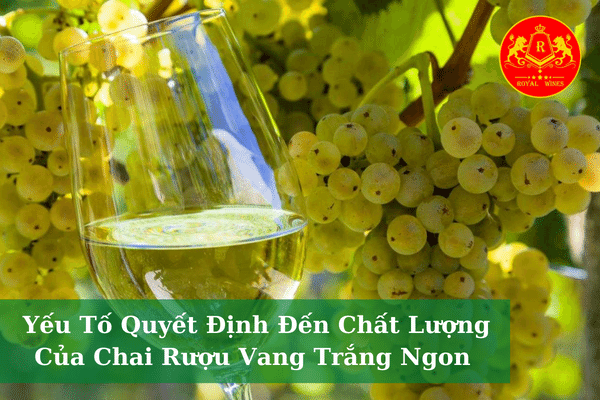 Yếu Tố Quyết Định Đến Chất Lượng Của Chai Rượu Vang Trắng Ngon