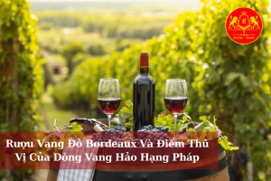 Ruou Vang Do Bordeaux Va Diem Thu Vi Cua Dong Vang Hao Hang Phap 01