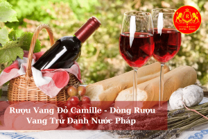 Ruou Vang Do Camille Dong Ruou Vang Tru Danh Nuoc Phap 01