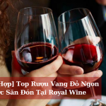 Tong Hop Top Ruou Vang Do Ngon Duoc San Don Tai Royal Wine 01