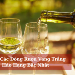 Top 5 Cac Dong Ruou Vang Trang Hao Hang Bac Nhat 01
