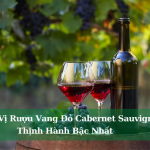 Huong Vi Ruou Vang Do Cabernet Sauvignon Thinh Hanh Bac Nhat 01