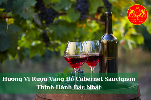 Hương Vị Rượu Vang Đỏ Cabernet Sauvignon Thịnh Hành Bậc Nhất