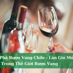 Kham Pha Ruou Vang Chile Lan Gio Moi Trong The Gioi Ruou Vang 01