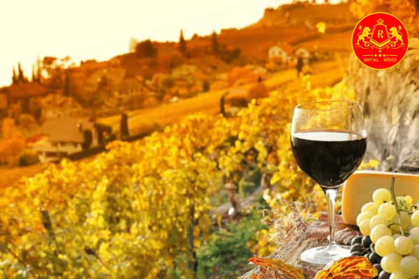 Nét Đặc Sắc Tạo Nên Điểm Nhấn Cho Dòng Rượu Vang Tây Ban Nha