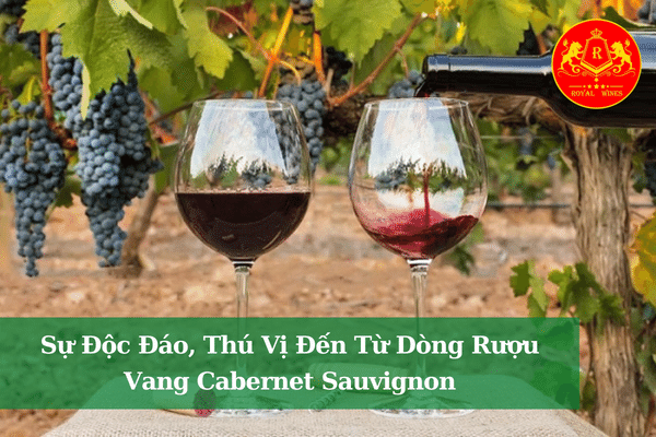 Sự Độc Đáo, Thú Vị Đến Từ Dòng Rượu Vang Cabernet Sauvignon
