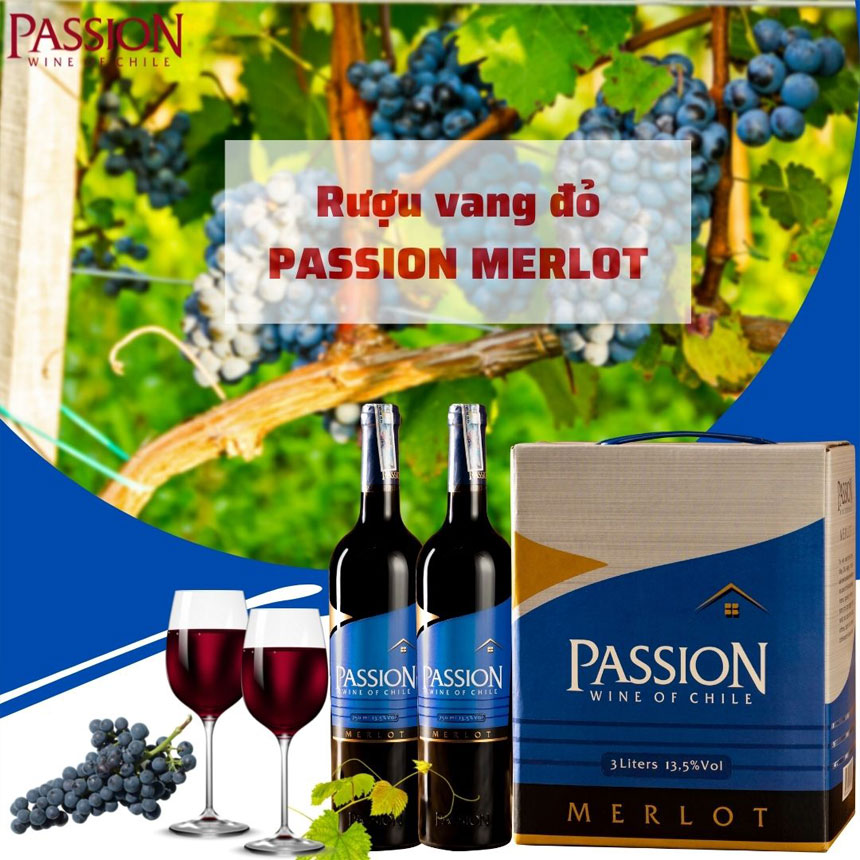 Rượu Vang Passion Merlot
