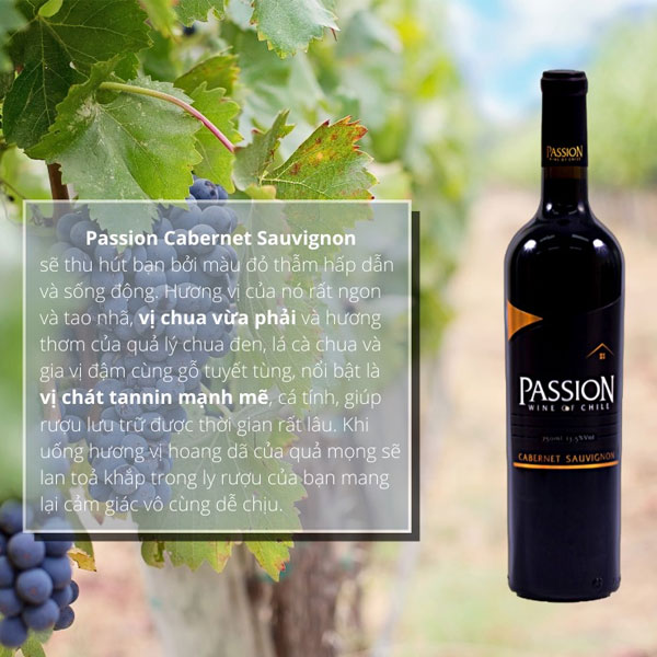 Rượu Vang Passion Wine Of Chile Cabernet Sauvignon