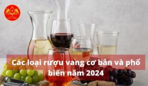 Các loại rượu vang cơ bản và phổ biến năm 2024