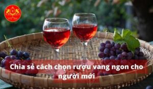 Chia sẻ cách chọn rượu vang ngon cho người mới