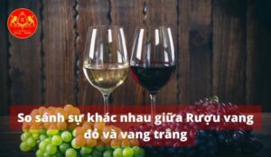 So sánh sự khác nhau giữa Rượu vang đỏ và vang trắng