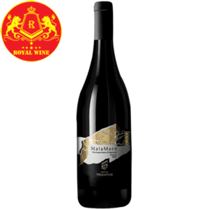 Rượu vang Cantine Truentum Montepulciano