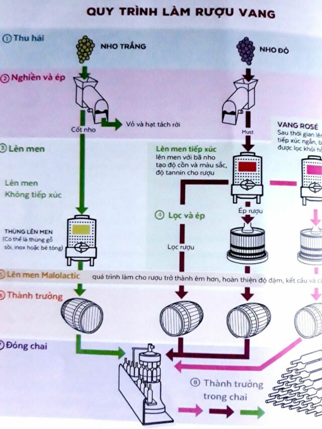 Quy trình sản xuất rượu vang