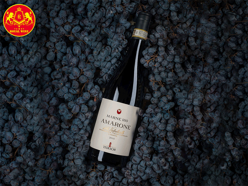 Rượu vang Marne 180 Amarone