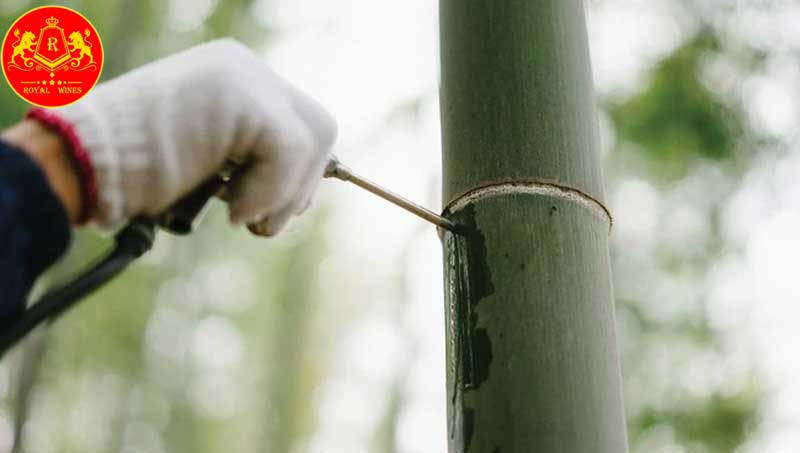 Tìm hiểu về rượu Mao Đài ống tre và giá bán thị trường