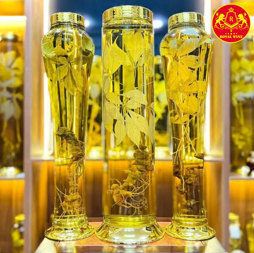 cach-ngam-ruou-sam-ngoc-linh