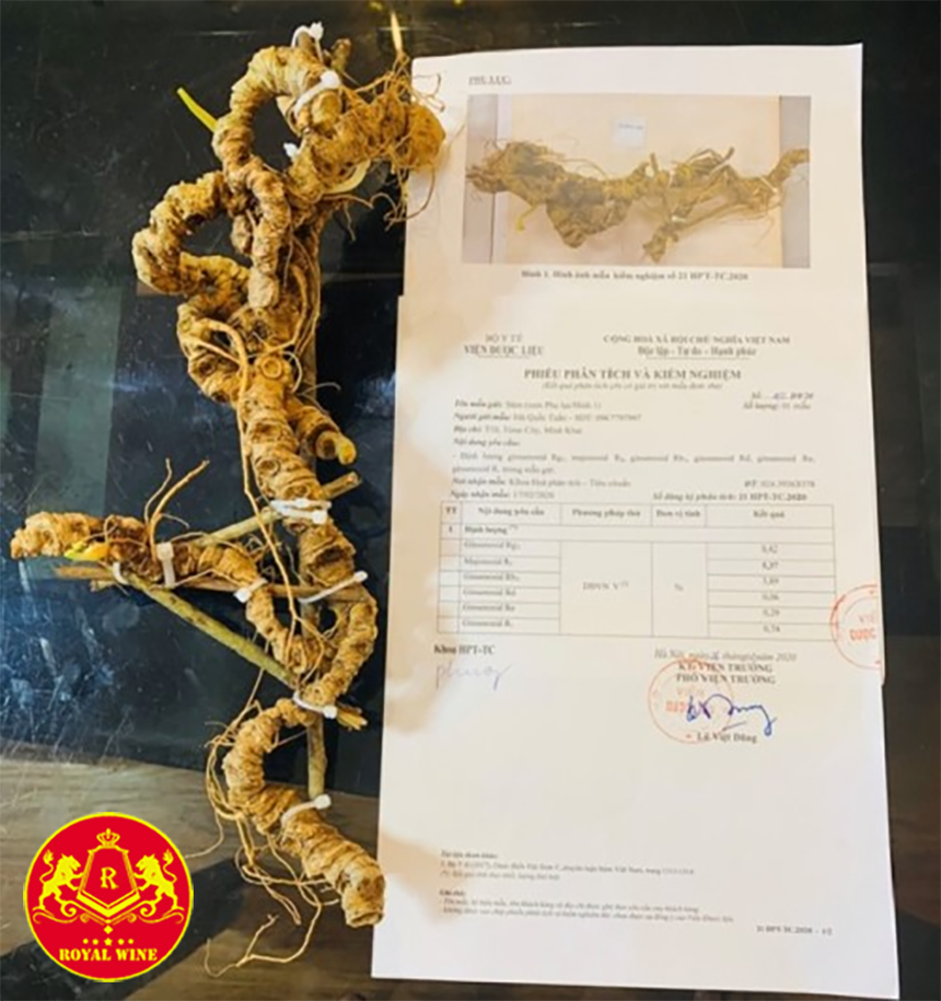 Kiểm định rượu sâm Ngọc Linh qua chứng nhận và nguồn gốc