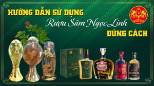 Lưu ý khi dùng rượu sâm Ngọc Linh để tránh phản tác dụng