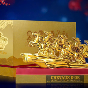 binh-ngo-chevaux-dor-ma-dao-thanh-cong